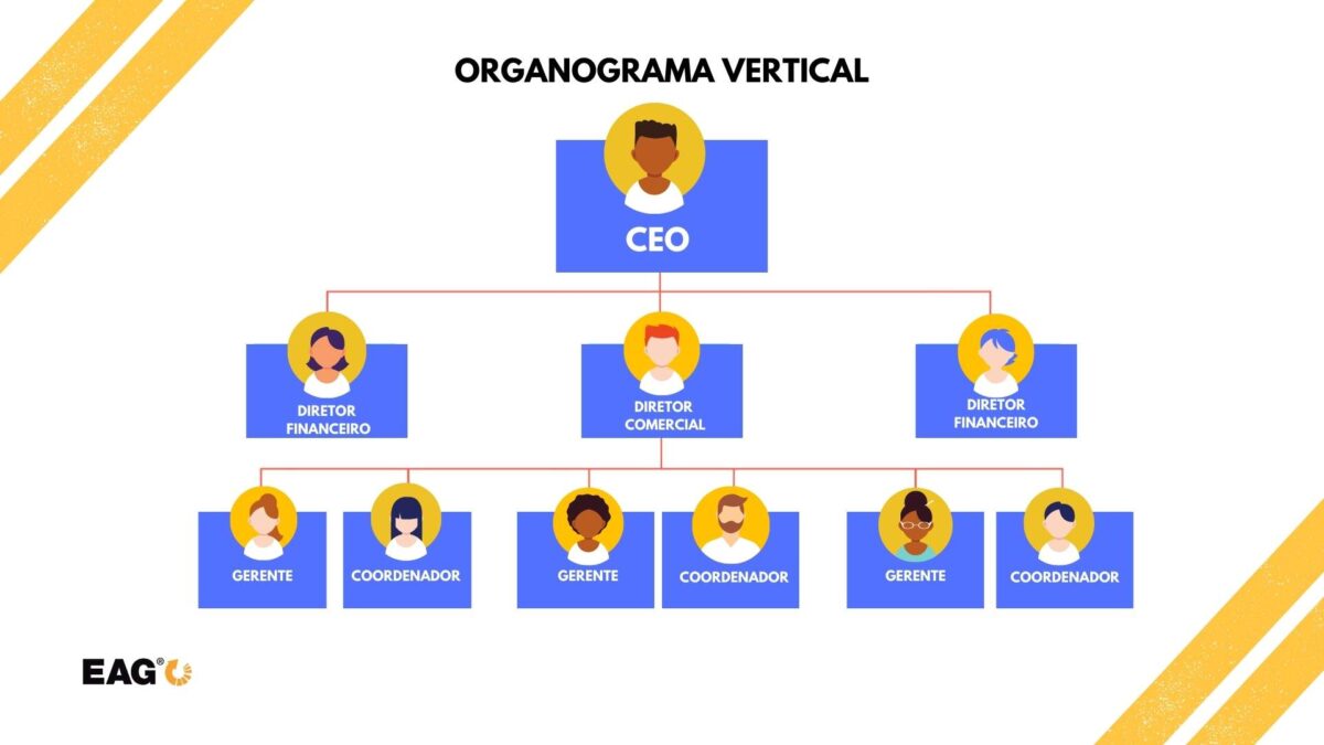Organograma vertical